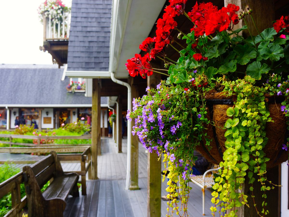 Flowers Hanging Outside of Shops in Cannon Beach, OR