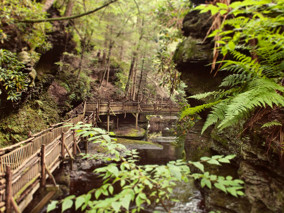 Bushkill Falls in the Pocono Mountains