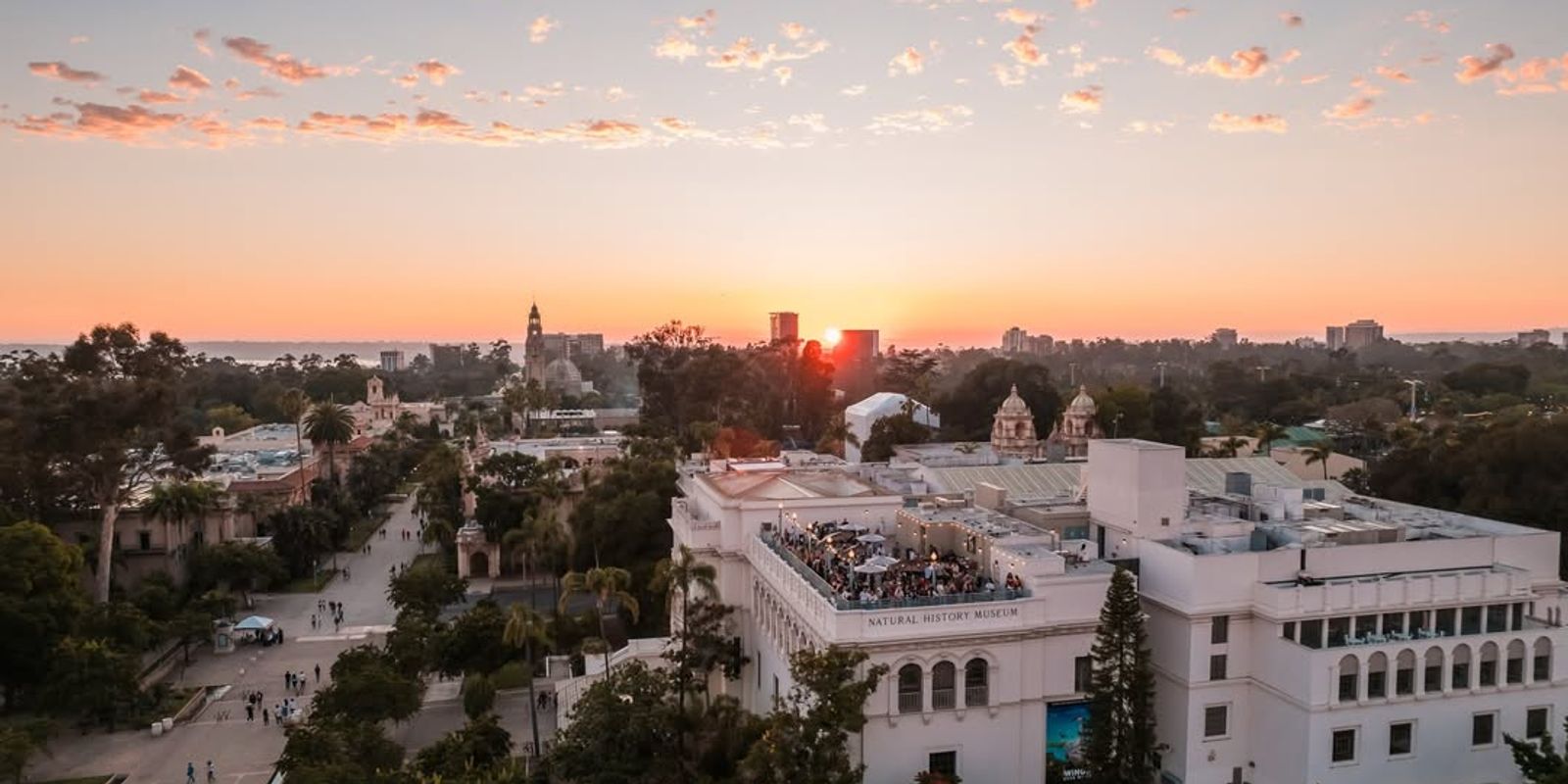 Top 5 Things to Do in San Diego