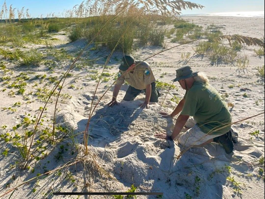 Park rangers at Henderson Beach State Park carefully tending to the sandy dunes, highlighting the park’s conservation efforts and natural beauty. A serene escape into Florida’s Gulf Coast nature.