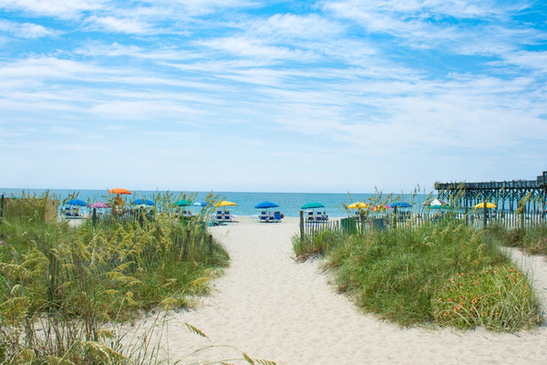 South Carolina Travel Inspiration