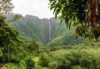 How to Enjoy An Affordable Vacation in Hawaii