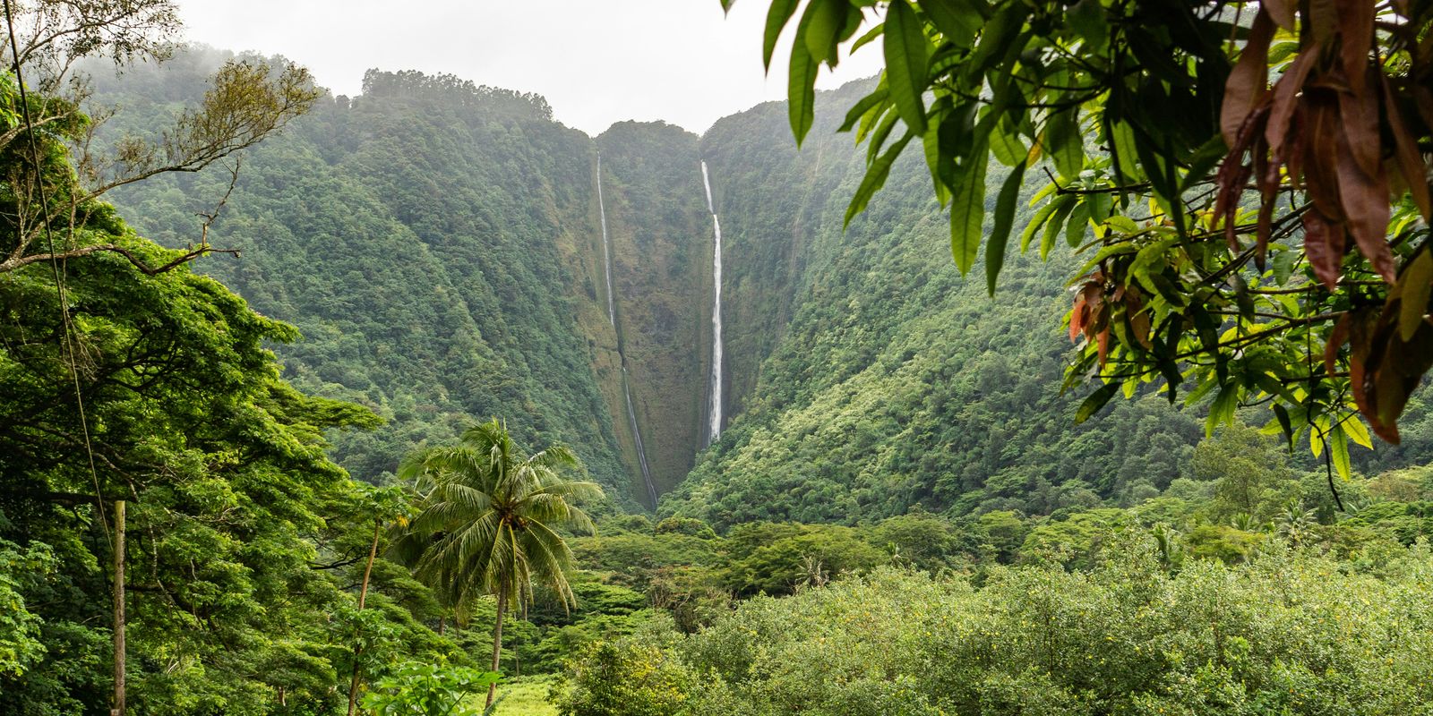 How to Enjoy An Affordable Vacation in Hawaii