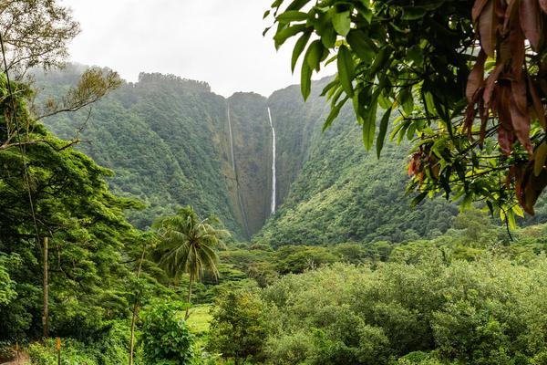 How to Enjoy An Affordable Vacation in Hawaii