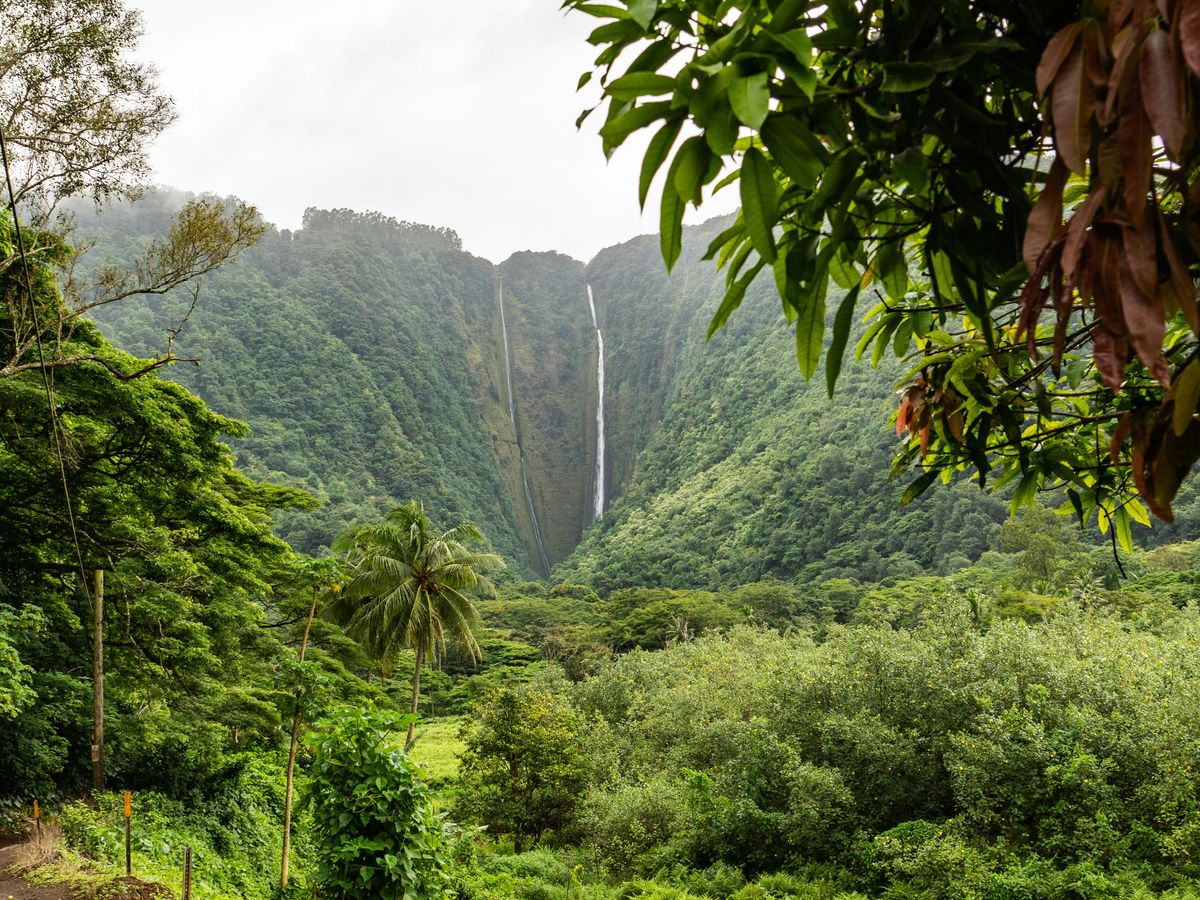 A tall, narrow waterfall cascades down a lush, green mountainside surrounded by dense tropical foliage under a cloudy sky.