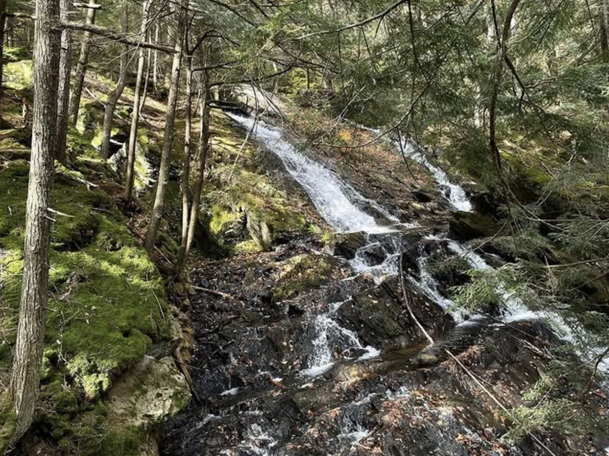 A gentle waterfall cascades over moss-covered rocks in a serene forest setting, surrounded by tall trees and dappled sunlight.