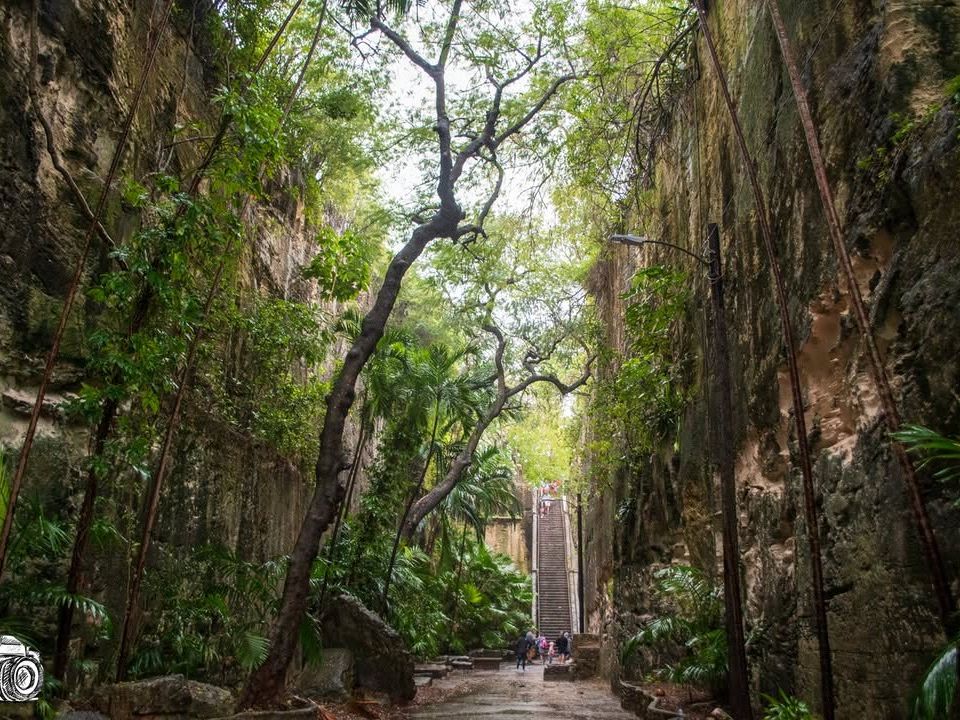 The Queen’s Staircase in Nassau, framed by towering limestone walls and lush greenery, offers a historic climb through Bahamian history. Visitors walk the shaded path for a scenic and cultural experienc