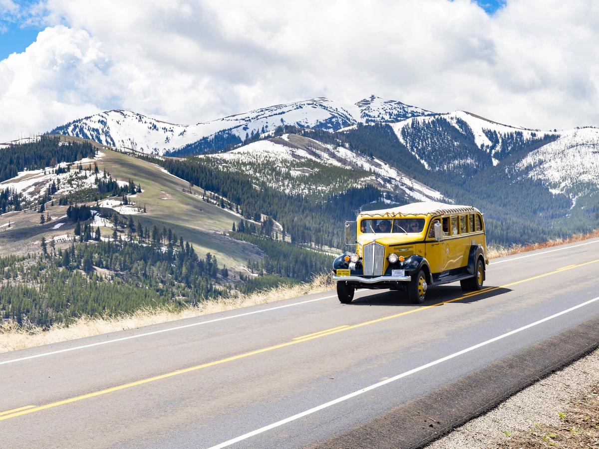 A classic yellow tour bus drives along the Beartooth Highway with snowy peaks and sweeping mountain views in the distance. This high-altitude scenic drive is one of the most breathtaking road trips in the U.S.
