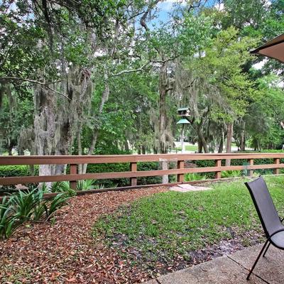 Backyard View of Golf Course Surrounded With Trees At Luxury Amelia Island Condo Rental