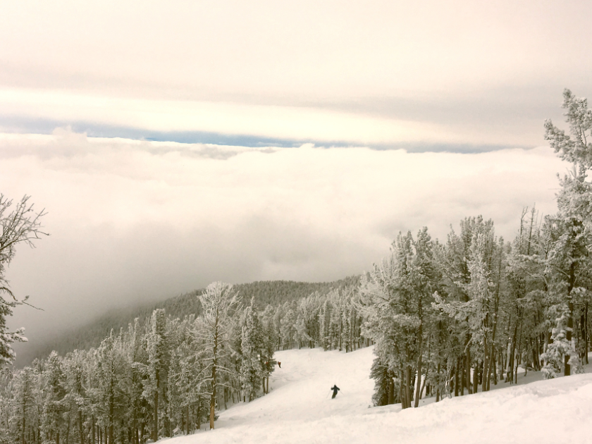 A skier carves down a powdery slope surrounded by frost-covered pine trees and a sea of clouds. Red Lodge Mountain offers a peaceful and thrilling ride through fresh snow.