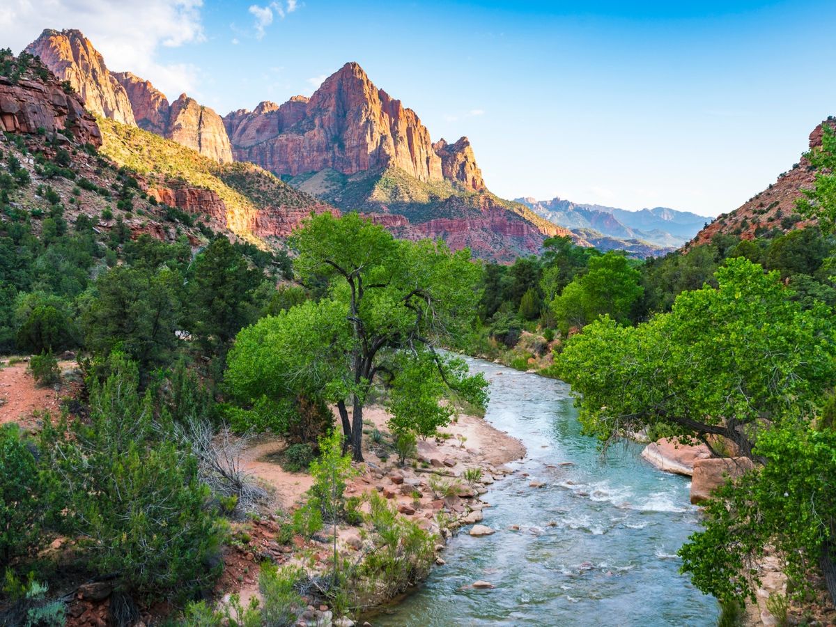 River Running Through A Canyon in Zion National Park