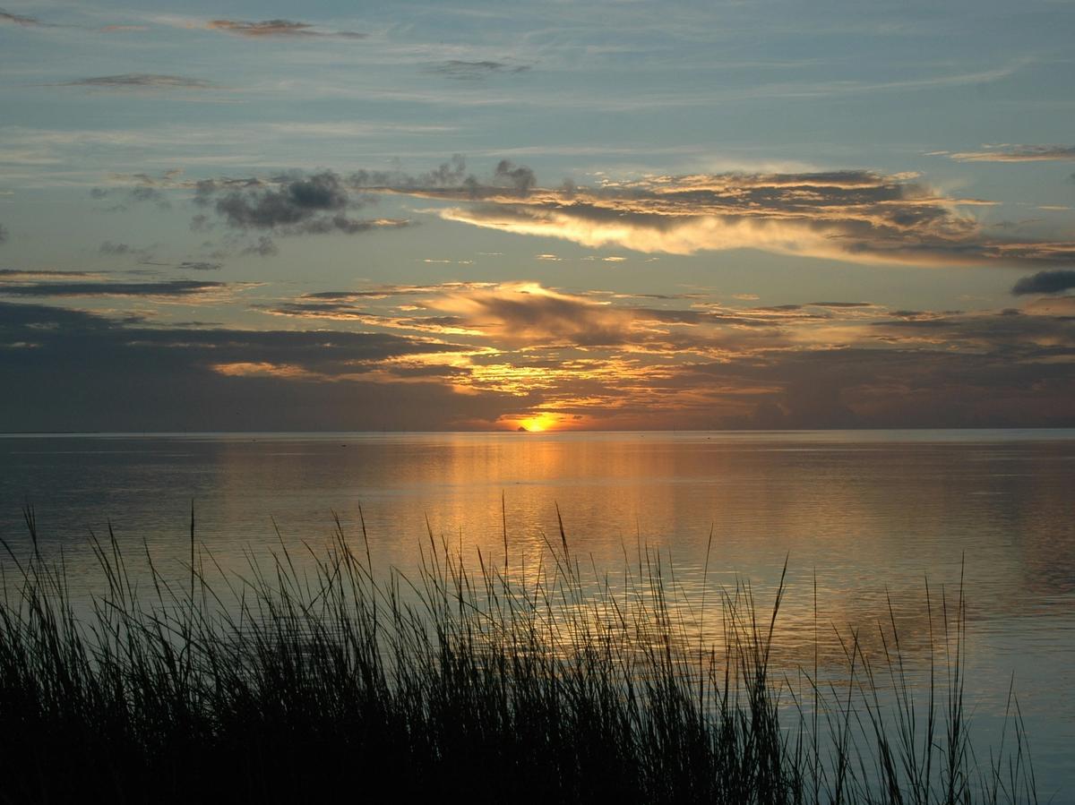 Golden sunlight reflects across calm waters at sunset, framed by tall grasses in the foreground.