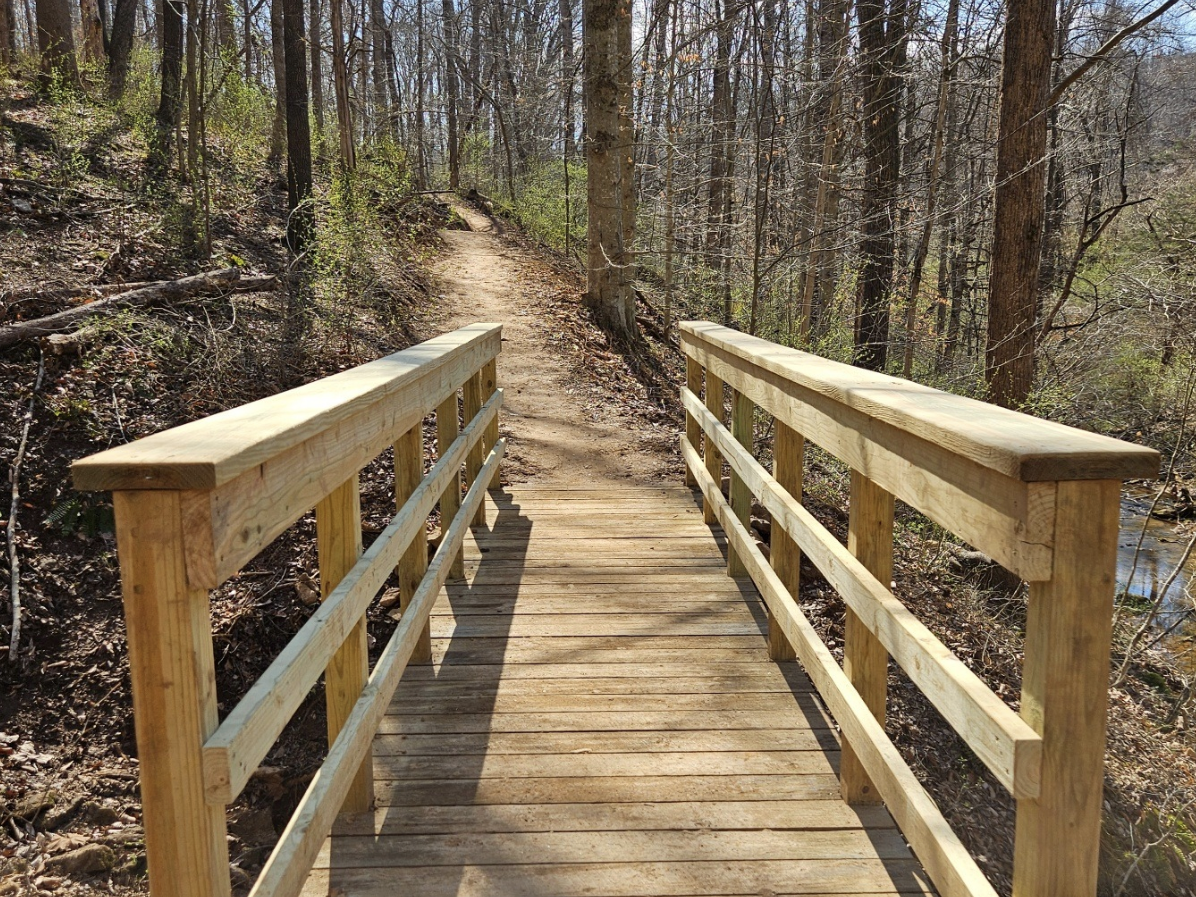 A wooden footbridge leads into a sunlit forest trail surrounded by bare trees and early spring greenery.
