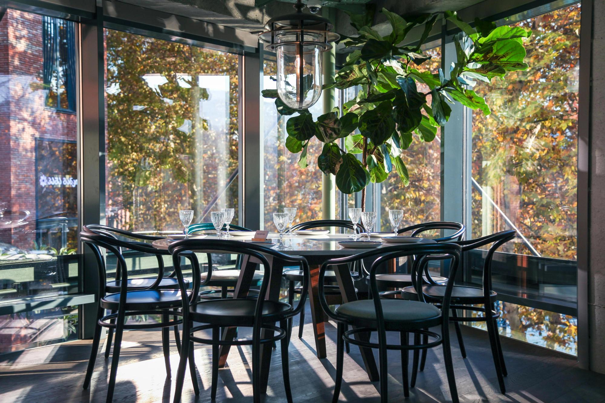A cozy corner table set for six, surrounded by floor-to-ceiling windows and warm fall sunlight. Natural light, leafy plants, and black bistro chairs create a calm and stylish dining space.