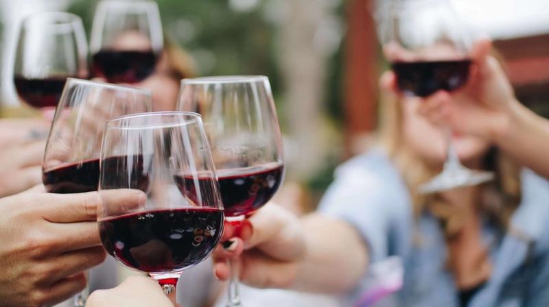 6 Best Wine Vacations in the U.S. for Wine Enthusiasts