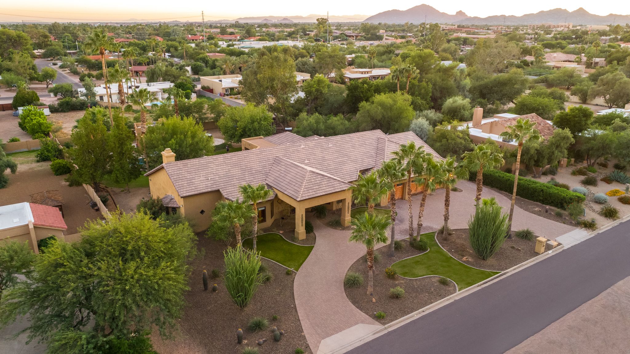 Aerial view of scottsdale rental with palm trees in the front and trees surrounding the backyard