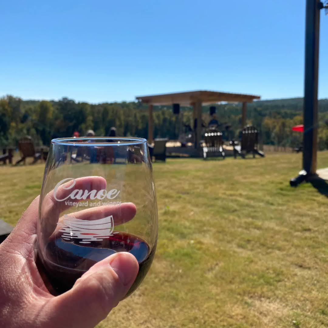 Someone holds a glass of red wine from Canoe Vineyard and Winery while looking out over a sunny open field. A small pavilion and chairs sit in the distance, adding to the laid-back atmosphere. It feels like a perfect day to enjoy wine outdoors.