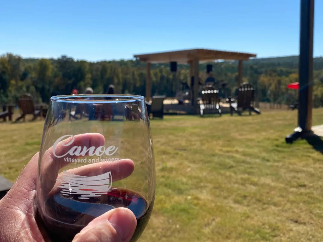 Someone holds a glass of red wine from Canoe Vineyard and Winery while looking out over a sunny open field. A small pavilion and chairs sit in the distance, adding to the laid-back atmosphere. It feels like a perfect day to enjoy wine outdoors.
