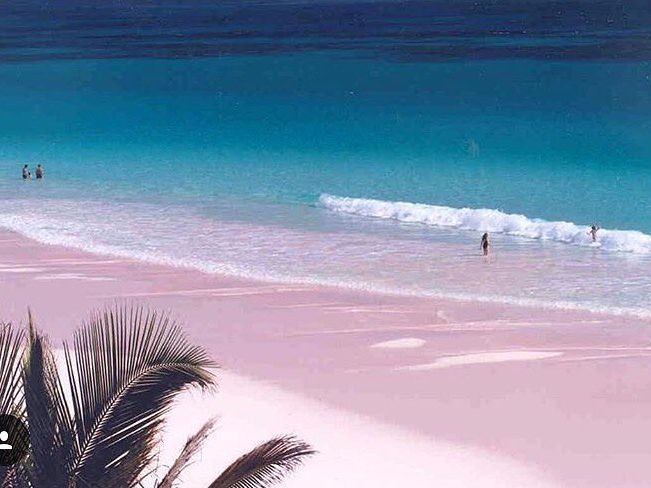 Pink Sand Beach glows with its soft blush-colored shoreline meeting the crystal-clear blue waters. A stunning natural wonder and one of the Bahamas’ most iconic beaches.