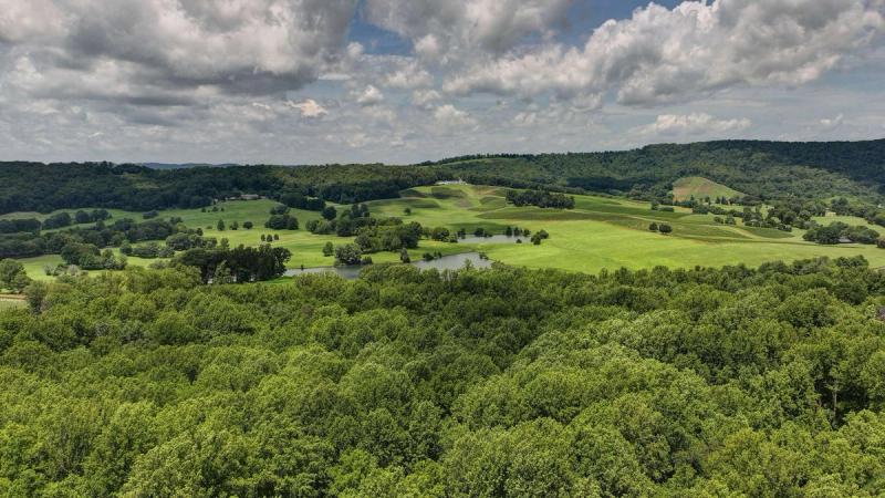 Cottage at Deer Ridge Farm - Image 3