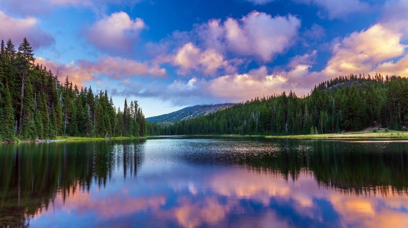 Explore Oregon with Kids: 5 Destinations for a Memorable Family Vacation