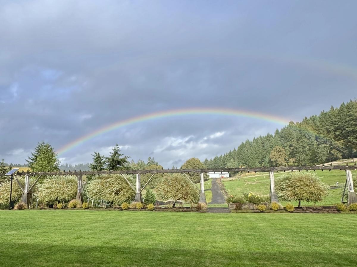 A rainbow curves over the green fields and wooden structures at Saffron Fields Vineyard. The grass and trees look fresh after a light rain, with soft clouds in the sky. The view feels calm and full of color.