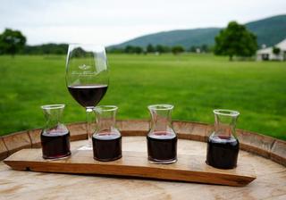 Raise a Glass to the 12 Best Wineries Near Charlottesville, VA