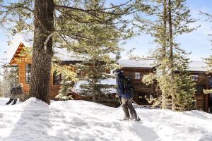 Person on skiis and in snow gear trekking through snow in front of cabin and trees