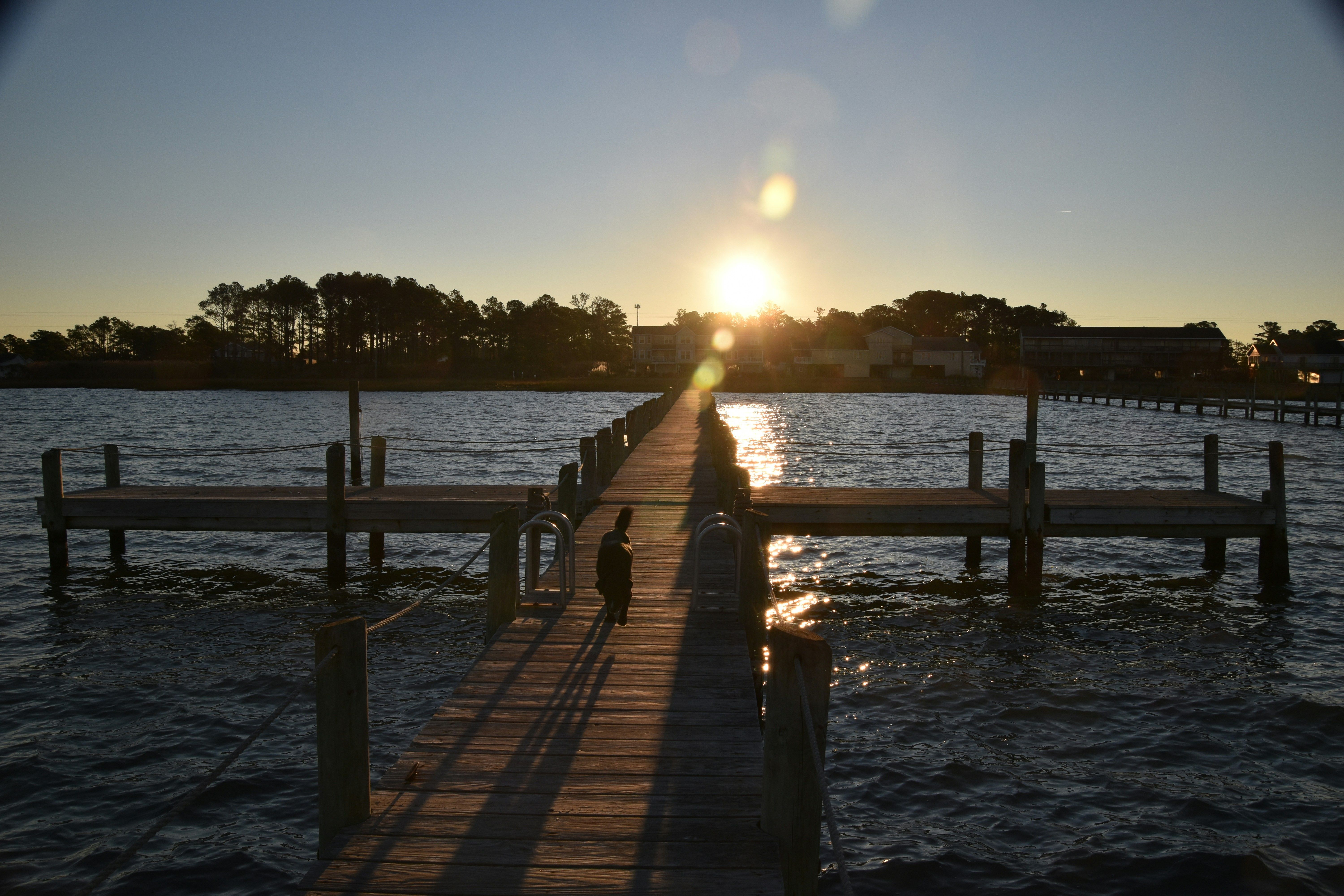 A wooden pier stretches out over rippling water toward the setting sun, casting long shadows as a small dog walks along the dock with houses and trees in the background.