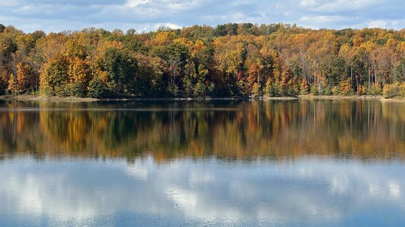 8 Family-Friendly Activities to Enjoy in Charlottesville, VA