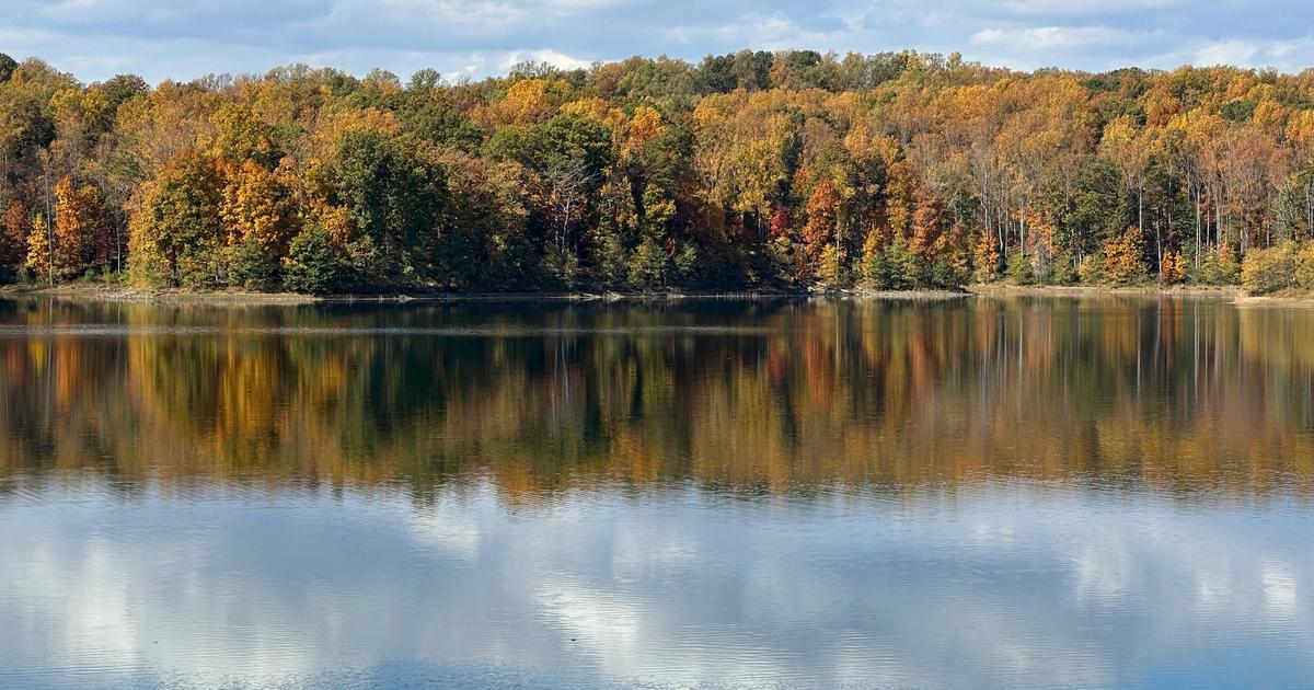 8 Family-Friendly Activities to Enjoy in Charlottesville, VA