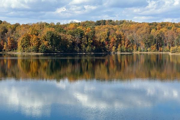 8 Family-Friendly Activities to Enjoy in Charlottesville, VA