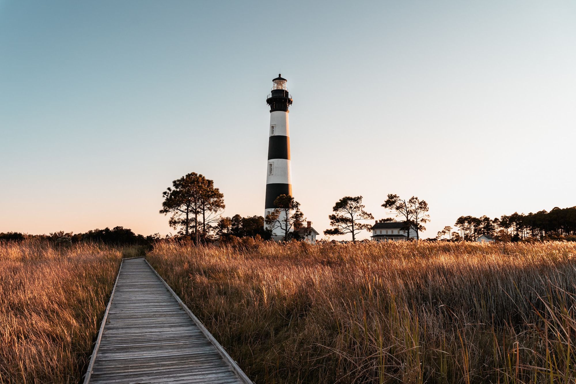 Page header image