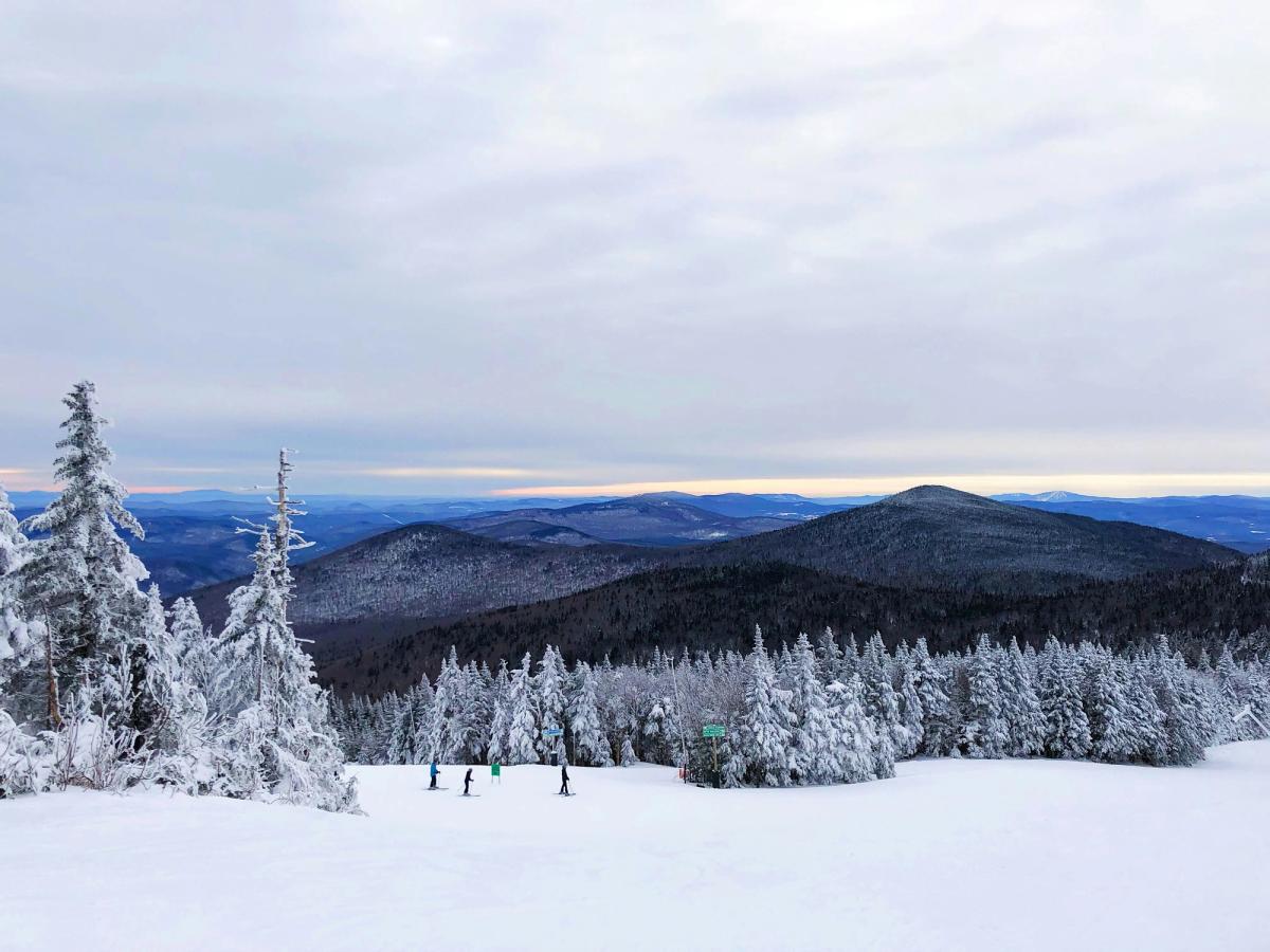 A group of skiers glides across a snowy slope surrounded by frost-covered evergreens, with rolling, forested mountains stretching into the distance beneath a calm winter sky.