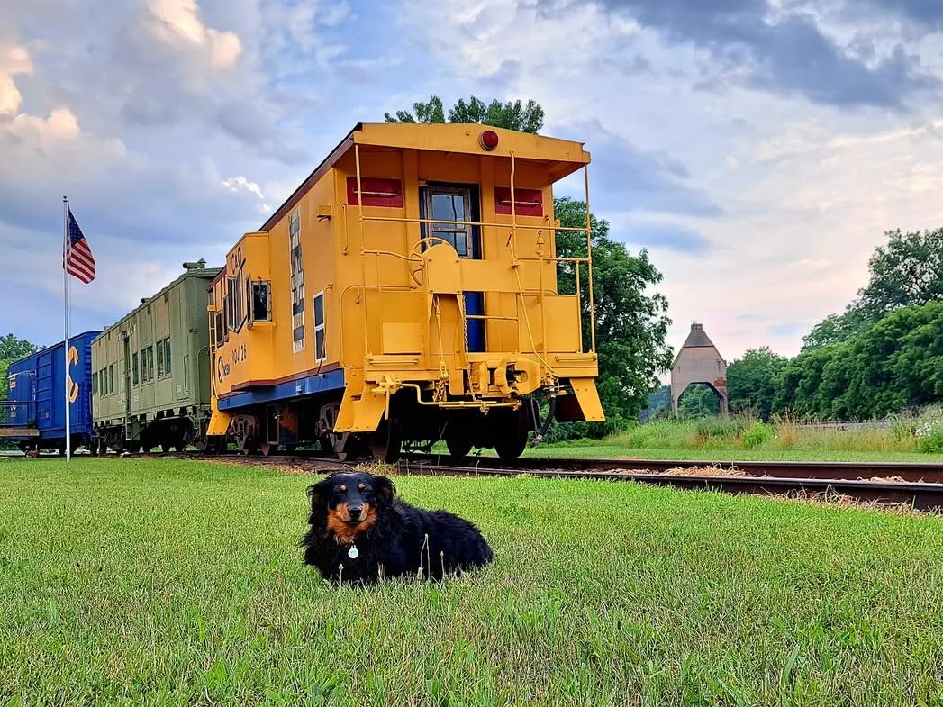 A bright yellow caboose and historic train cars rest on display with a playful dog lounging in the grass nearby. The Harbor Country Museum highlights local railroad heritage and small-town history in a family-friendly setting.