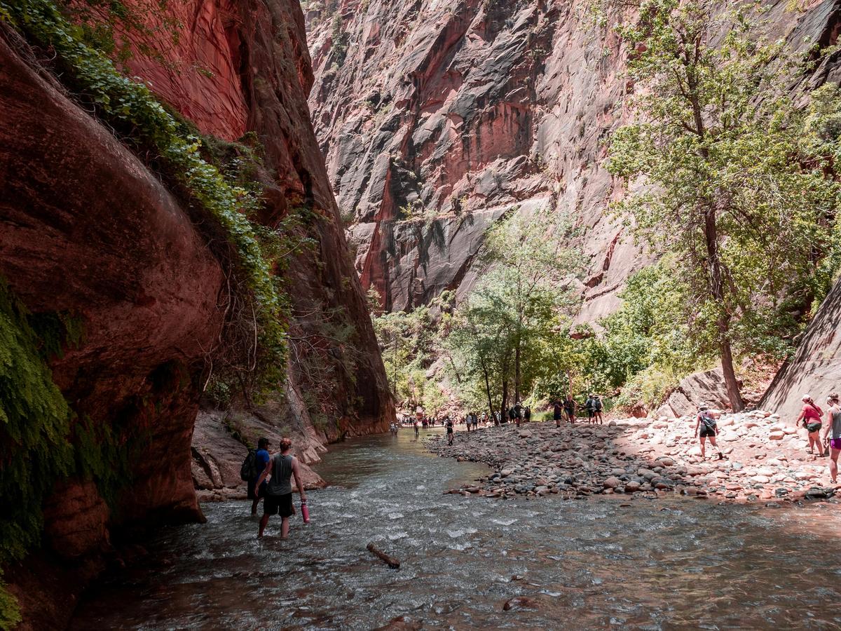 Visitors hike through the Virgin River at The Narrows in Zion National Park near St. George, Utah. Towering red canyon walls create one of the most iconic landscapes in the Southwest.