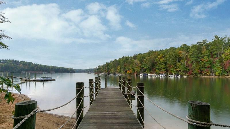 13 Stunning Dog Friendly Rentals in North Carolina to Welcome Your Entire Family (Including the Furry Ones)