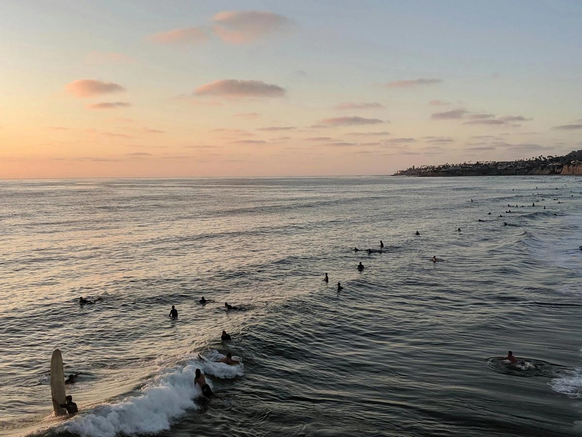 Dozens of surfers gather in the ocean waiting for waves as the sun begins to set along the San Diego coastline. This wide view of the water highlights the lively surf culture and great surfing opportunities found at many San Diego beaches.