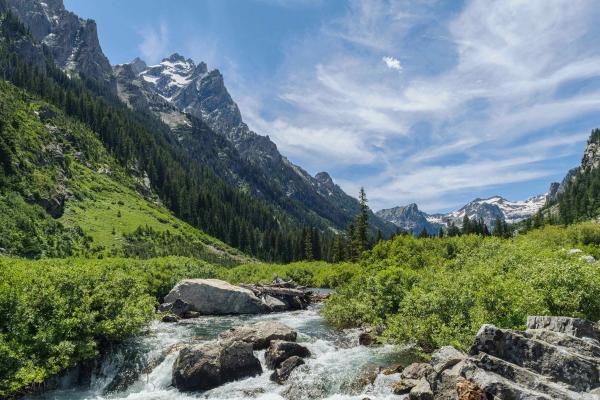 A rushing stream cuts through the heart of Wyoming’s rugged wilderness, framed by sharp peaks and green alpine valleys. With snow-capped mountains in the distance and tall pines all around, this spot is made for hikers, dreamers, and anyone chasing adventure.
