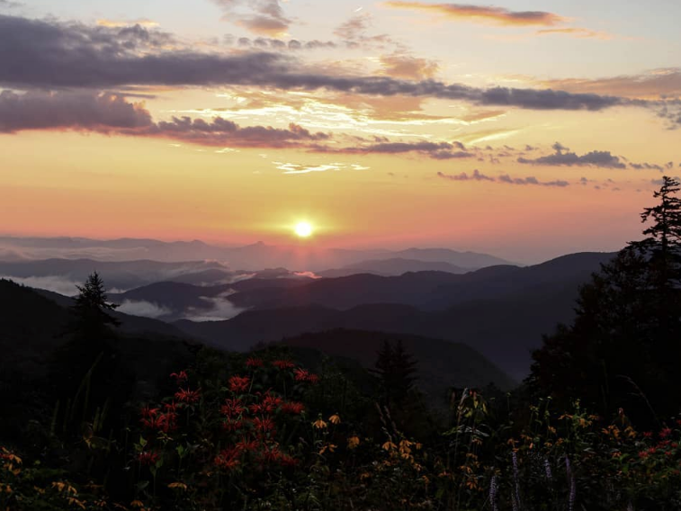 A breathtaking mountain sunset with the sun casting golden and pink hues across the sky. Layers of misty mountain peaks stretch into the distance, while vibrant wildflowers in the foreground add a touch of color to the serene landscape