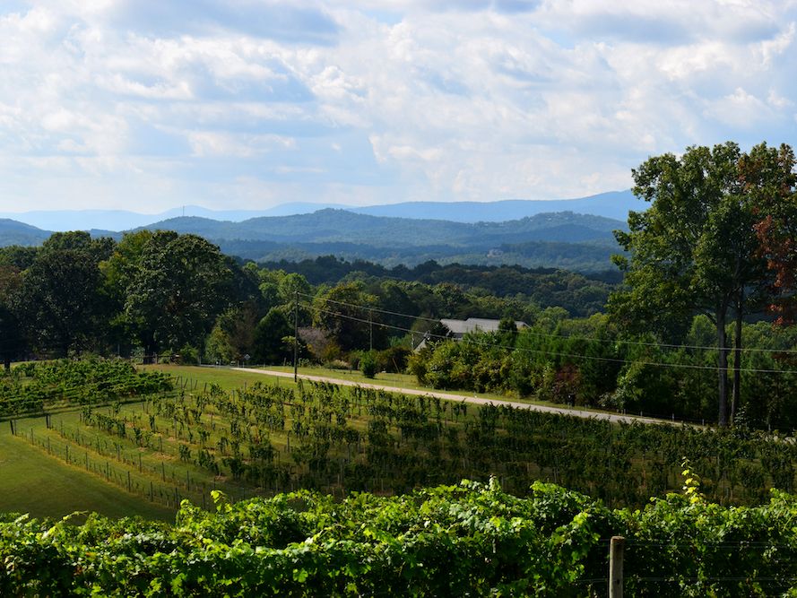 View of Blue Ridge Vineyard and Mountains