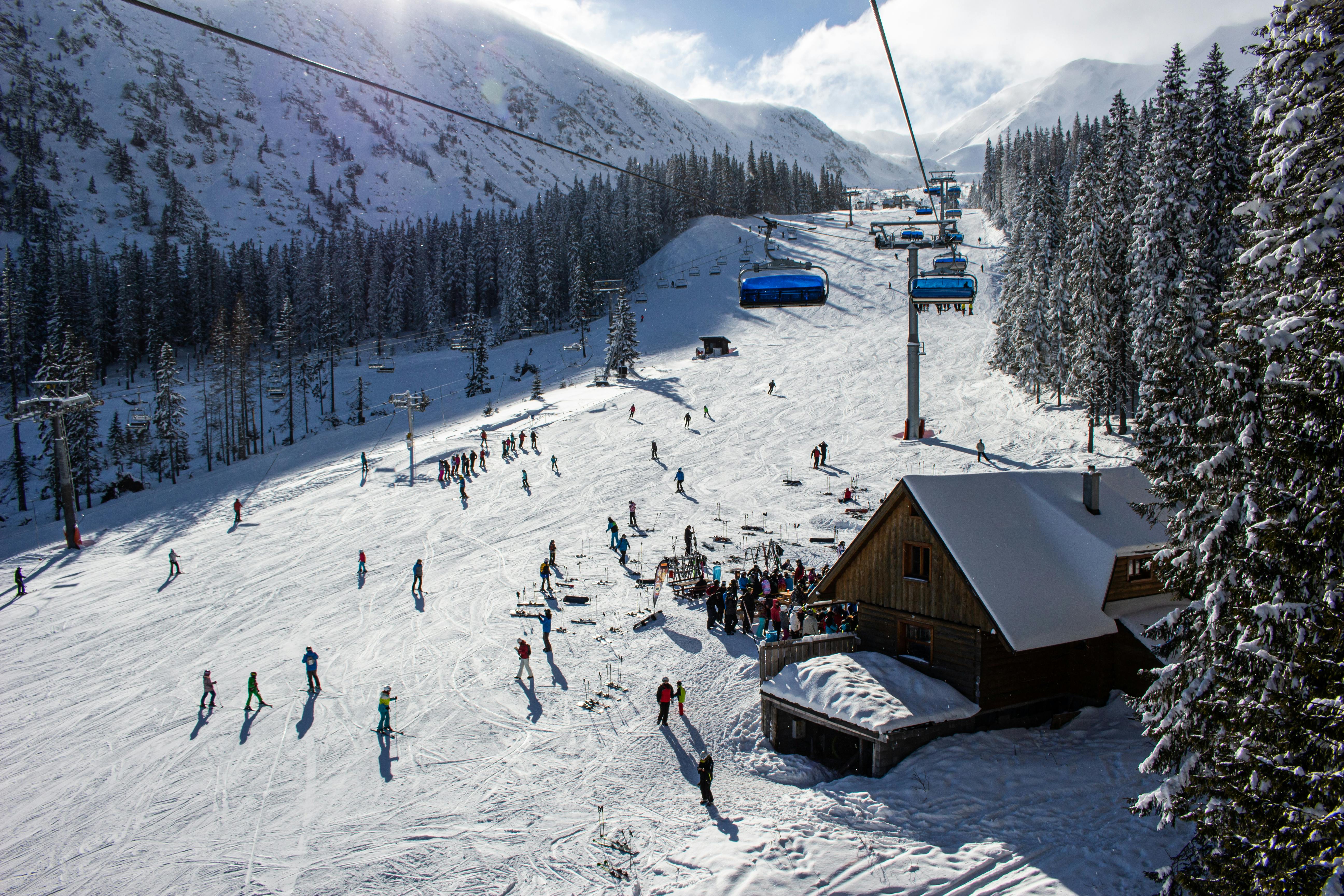 Skiers and snowboarders enjoy a sunny winter day on a busy mountain slope surrounded by snow-covered pine trees. A wooden ski lodge sits at the base near a chairlift, with fresh powder and clear blue skies creating perfect skiing conditions.