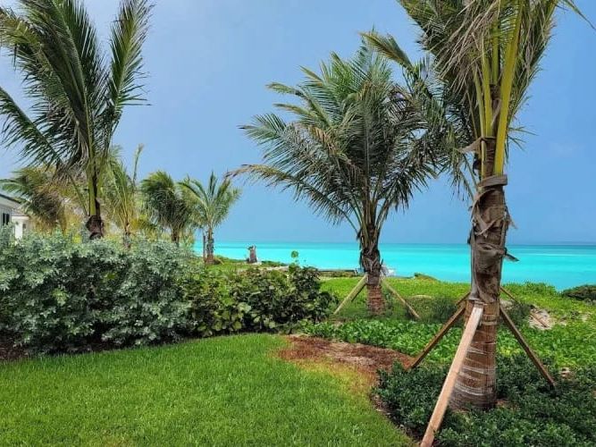 A lush tropical lawn with palm trees and greenery opens to a view of turquoise ocean waters under a clear blue sky.