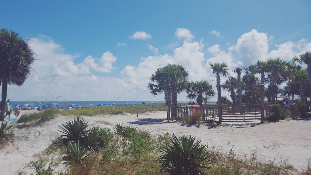 Sandy dunes and palm trees frame a sunny beach access path leading to the ocean on Hilton Head Island. Blue umbrellas line the shoreline while visitors walk toward the water under bright summer skies. This coastal scene captures the relaxed beach vibe and natural beauty of the South Carolina Lowcountry.