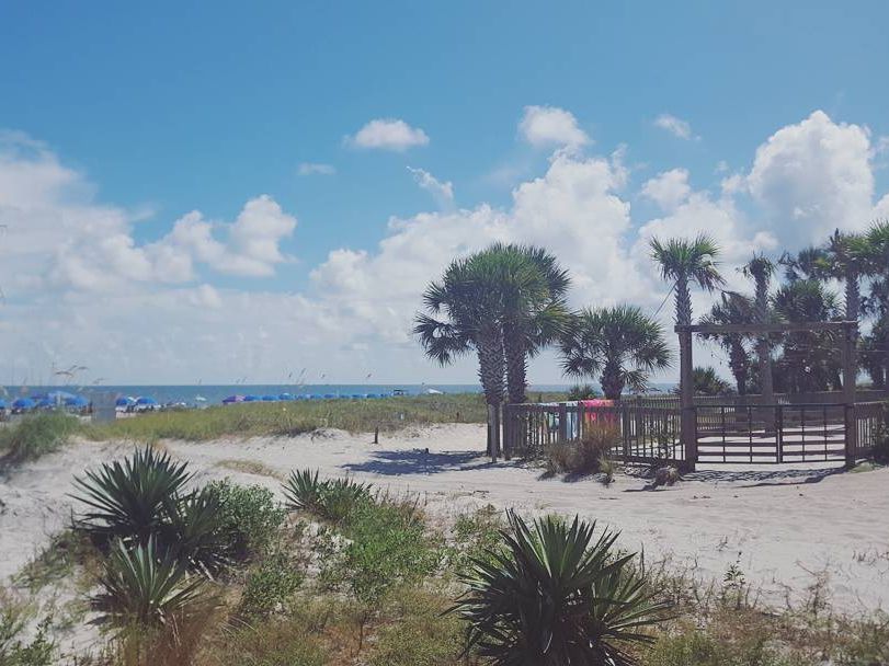 Sandy dunes and palm trees frame a sunny beach access path leading to the ocean on Hilton Head Island. Blue umbrellas line the shoreline while visitors walk toward the water under bright summer skies. This coastal scene captures the relaxed beach vibe and natural beauty of the South Carolina Lowcountry.