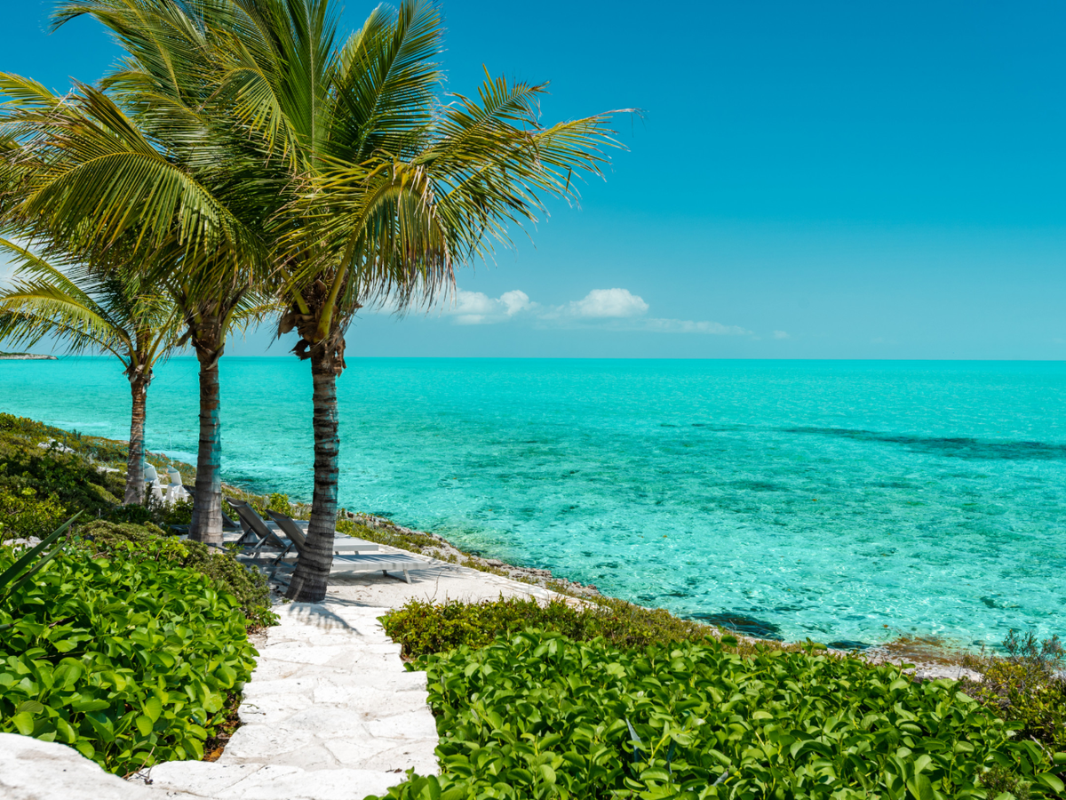 Empty Beach with Palm Trees in Turks & Caicos