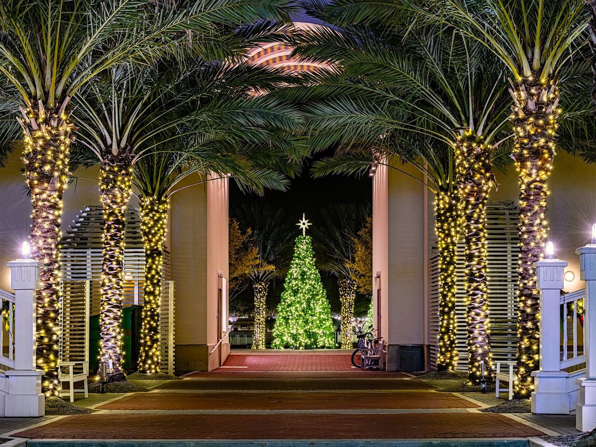 View of Christmas Tree and Pine Trees With Lights in Destin Florida