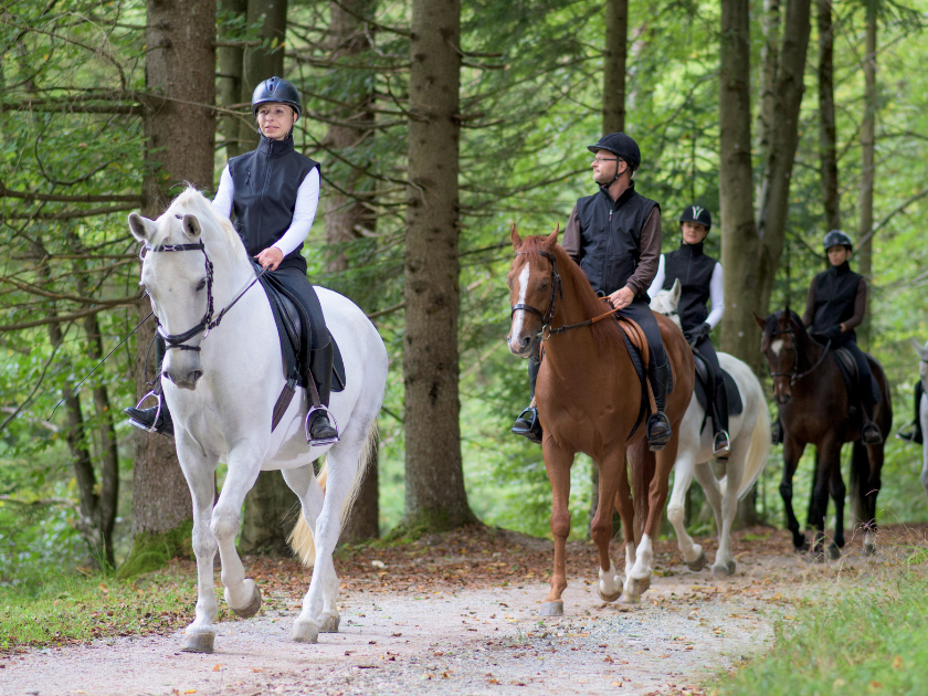 Riders on horseback enjoy a peaceful trail through the forest, a scenic and relaxing way to take in Red Lodge’s natural beauty.
