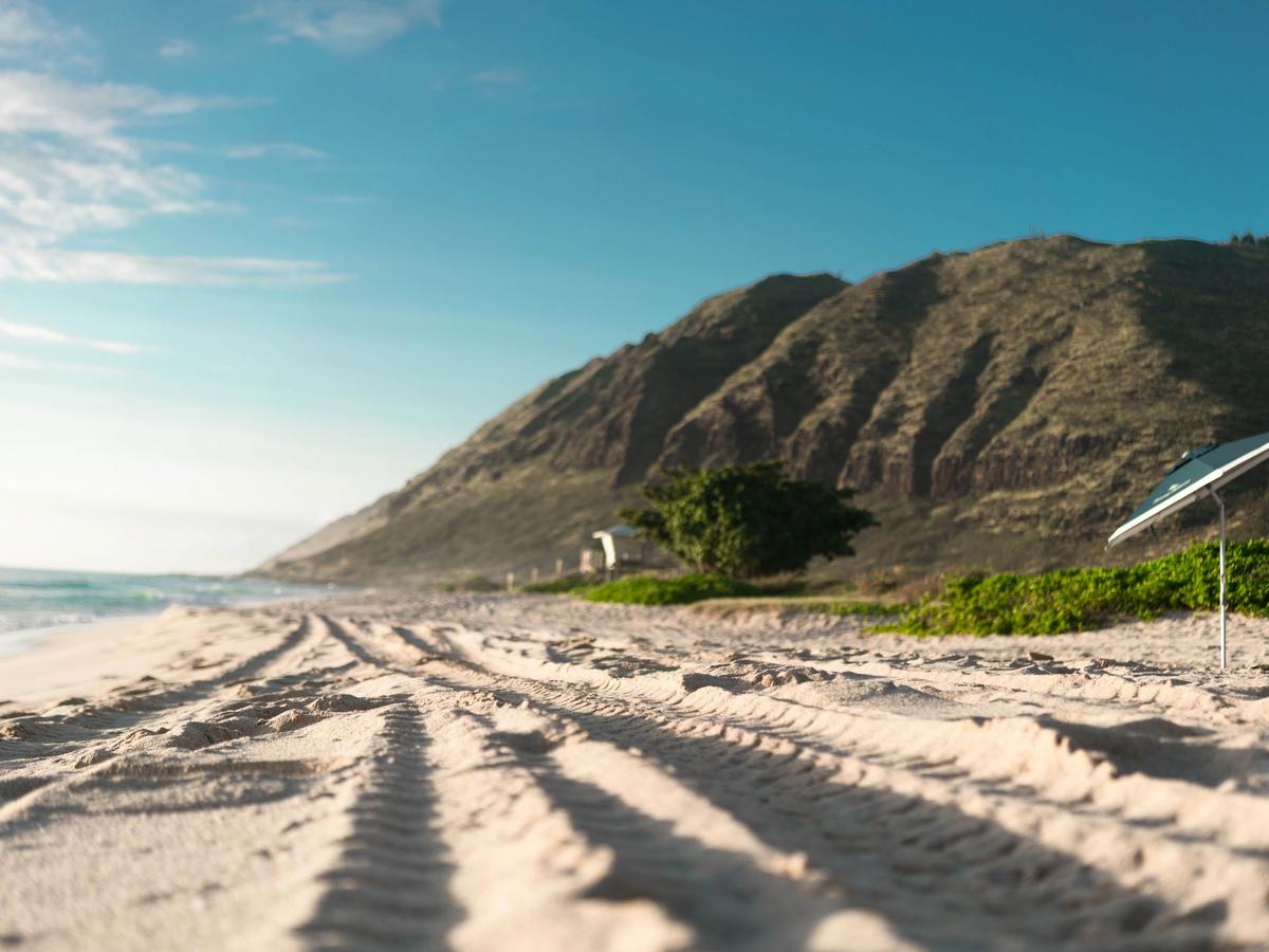 Tire tracks stretch across the wide white sand shoreline of Polihale Beach on Kauai's remote west coast, with rugged golden sea cliffs rising dramatically in the background.