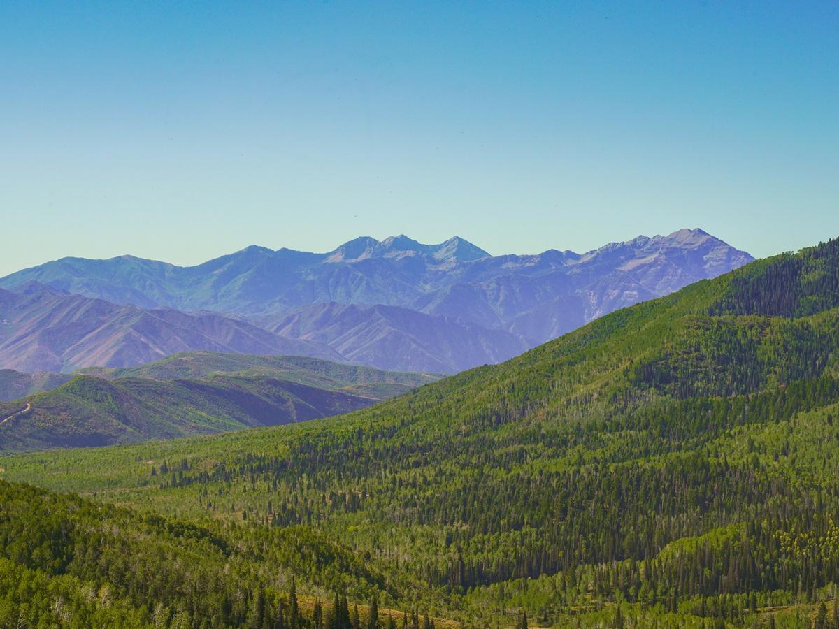 Lush green forested hills lead to rugged, layered mountain ranges under a clear blue sky in a serene summer landscape.